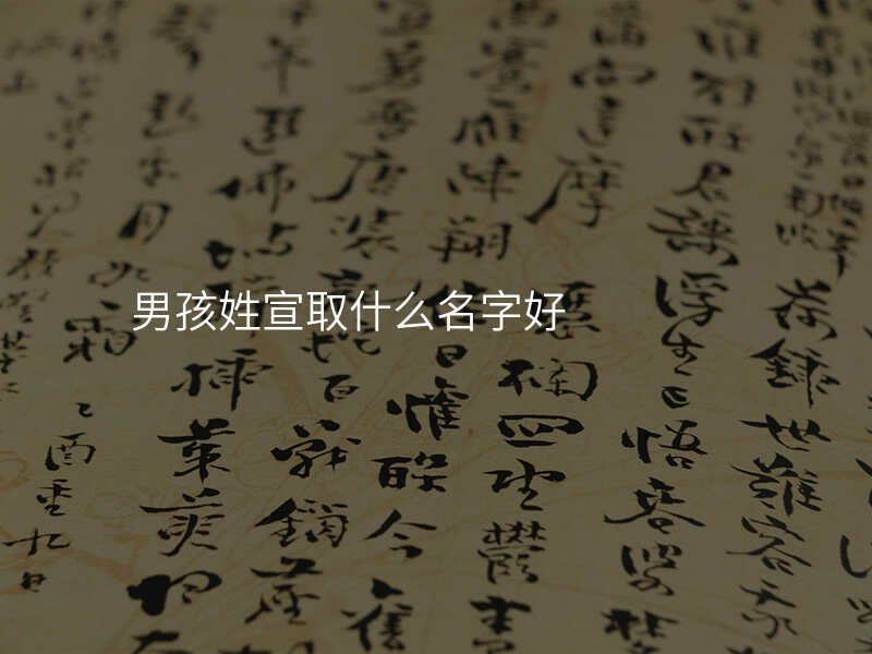 男孩姓宣取什么名字好
