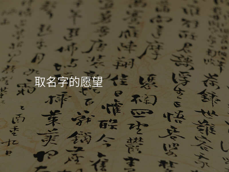 取名字的愿望
