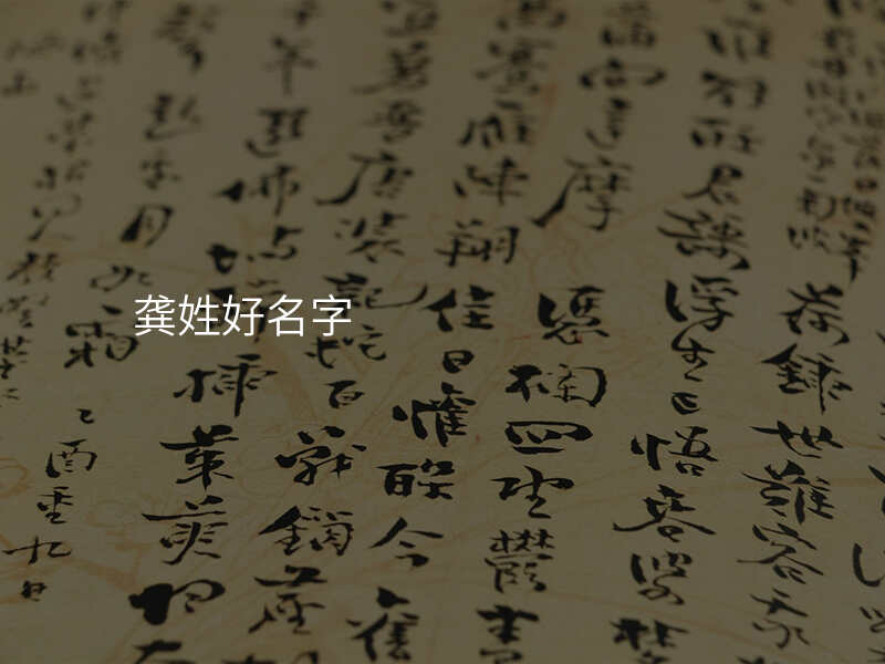 龚姓好名字
