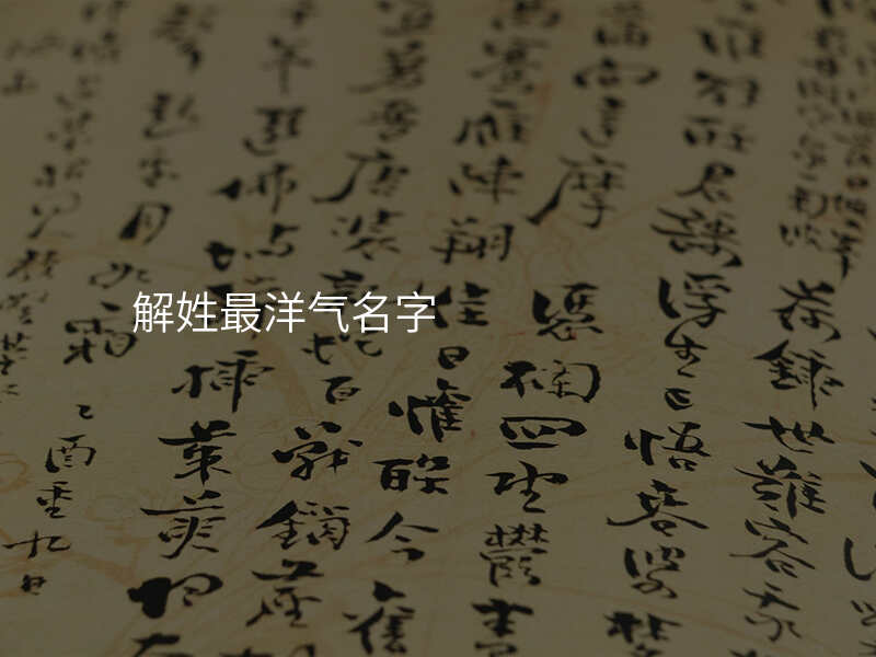 解姓最洋气名字