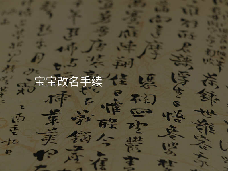 宝宝改名手续
