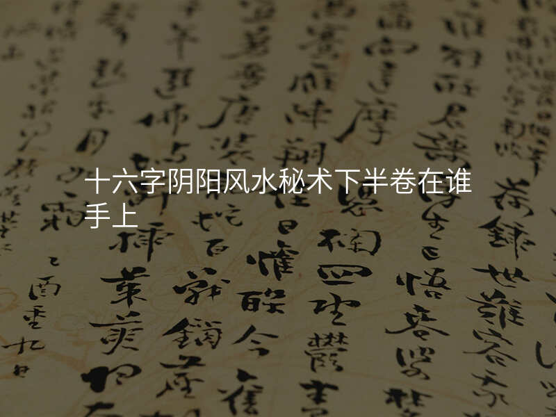 十六字阴阳风水秘术下半卷在谁手上