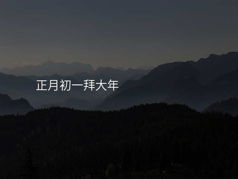 正月初一拜大年