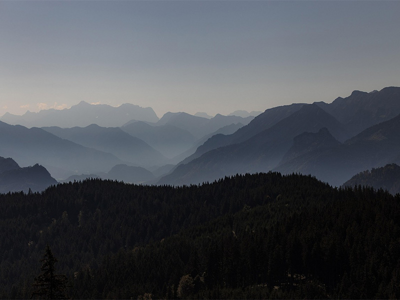 如何通过寓教于乐为宝宝命名,承载知识与梦想?