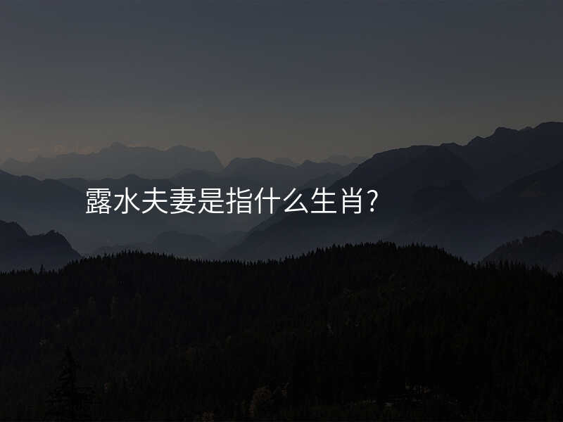 露水夫妻是指什么生肖?