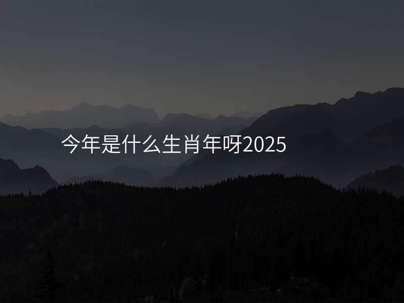 今年是什么生肖年呀2025