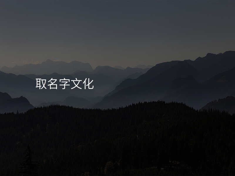 取名字文化