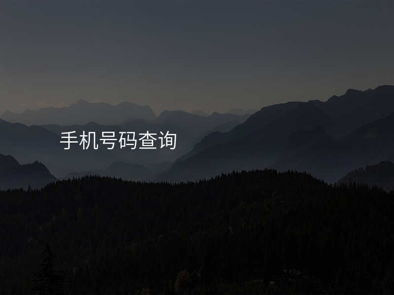 手机号码查询
