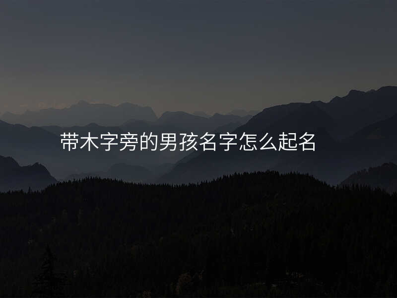 带木字旁的男孩名字怎么起名