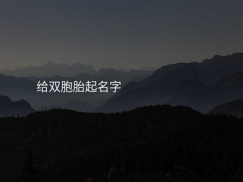 给双胞胎起名字