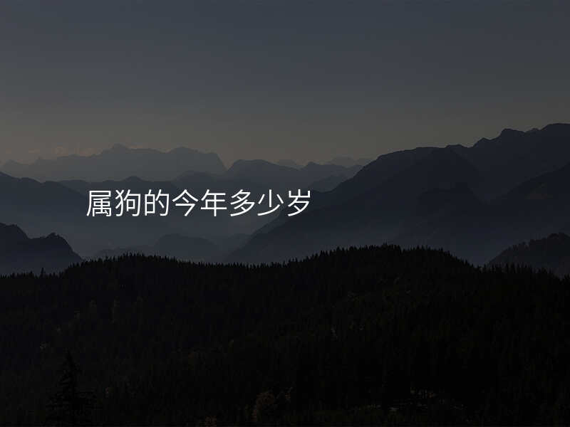 属狗的今年多少岁