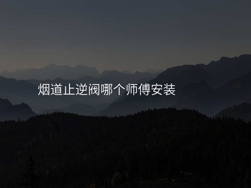 烟道止逆阀哪个师傅安装