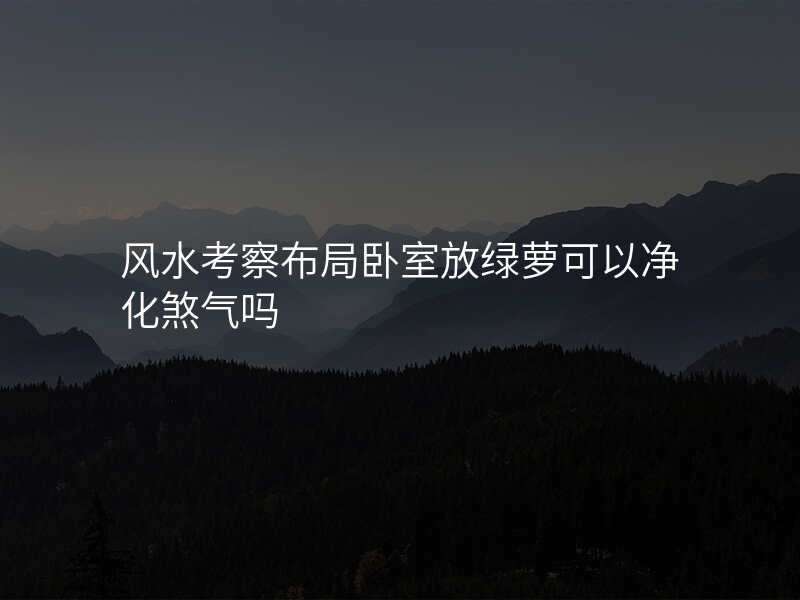 风水考察布局卧室放绿萝可以净化煞气吗