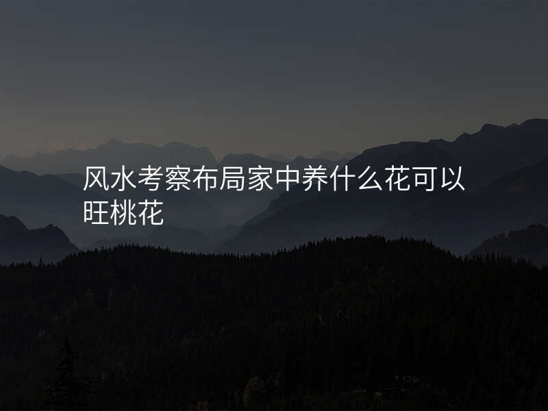 风水考察布局家中养什么花可以旺桃花