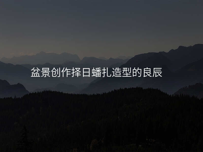 盆景创作择日蟠扎造型的良辰
