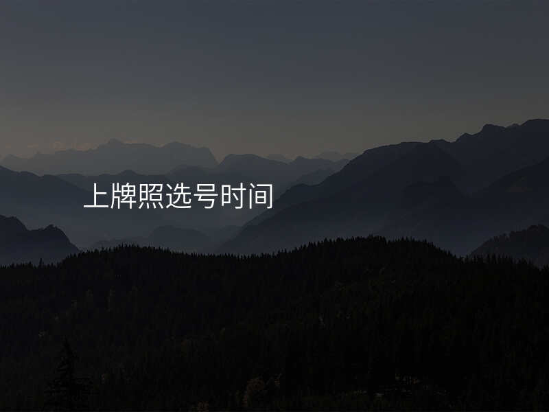 上牌照选号时间