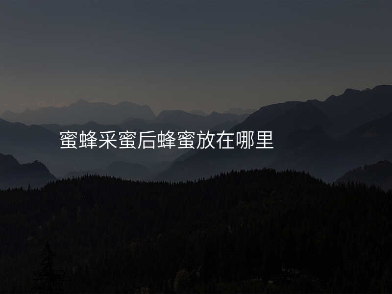 蜜蜂采蜜后蜂蜜放在哪里