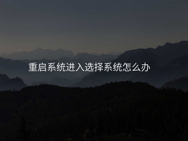 重启系统进入选择系统怎么办