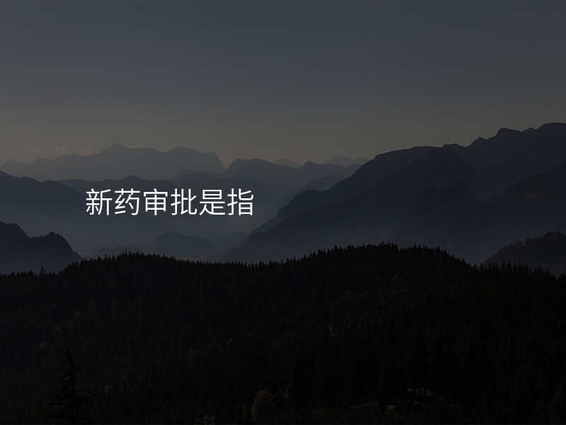 新药审批是指