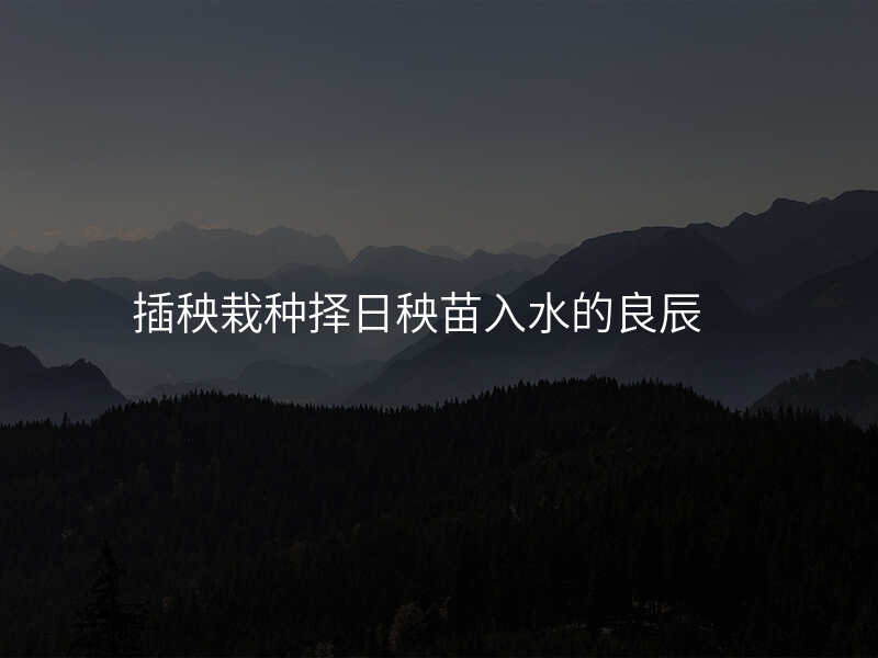 插秧栽种择日秧苗入水的良辰