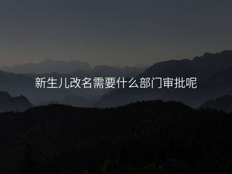 新生儿改名需要什么部门审批呢
