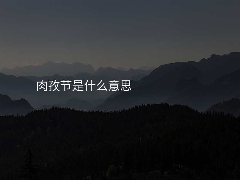 肉孜节是什么意思