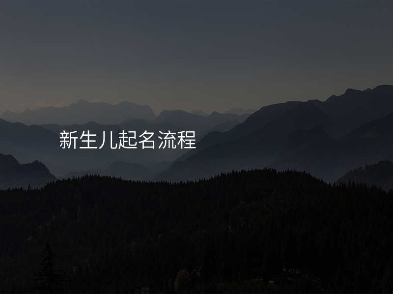 新生儿起名流程