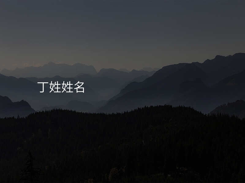 丁姓姓名