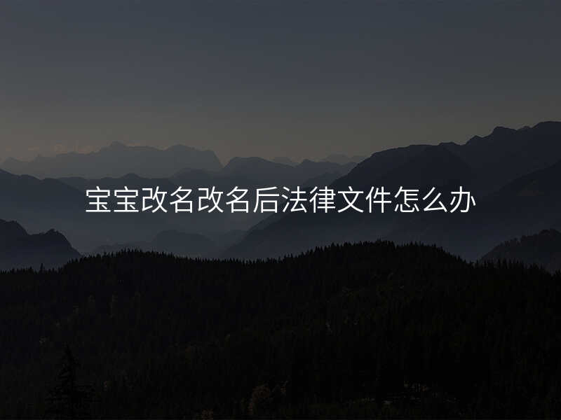 宝宝改名改名后法律文件怎么办