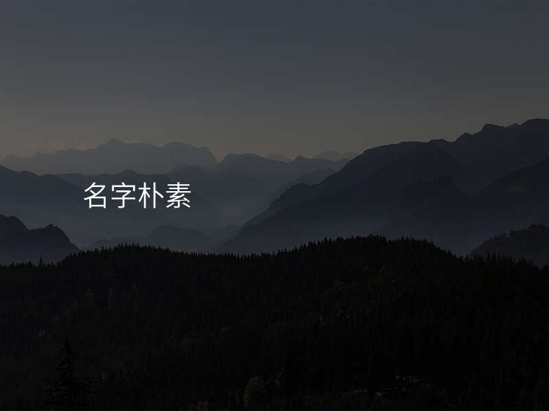 名字朴素