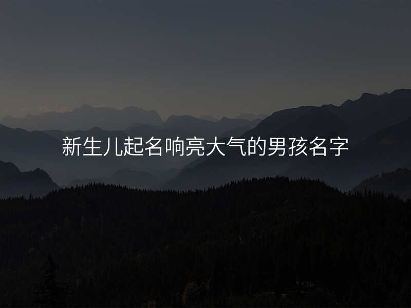 新生儿起名响亮大气的男孩名字