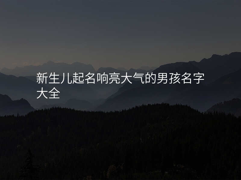 新生儿起名响亮大气的男孩名字大全