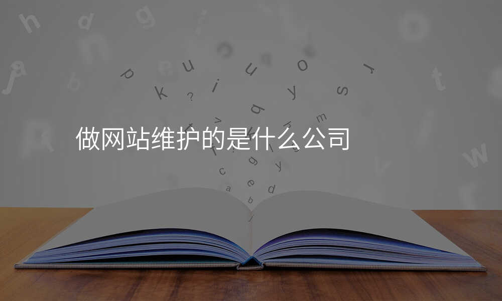 做网站维护的是什么公司