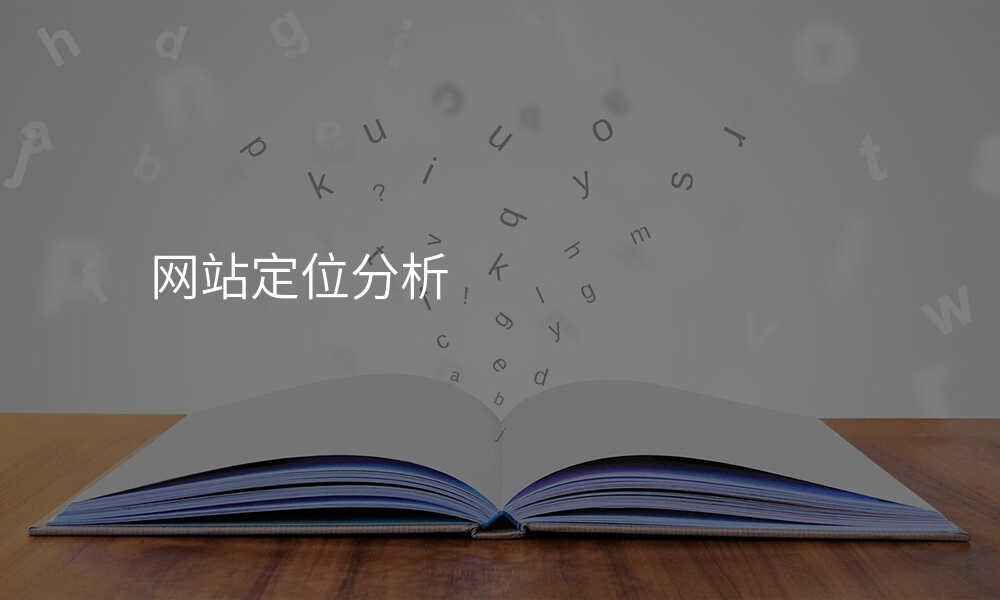网站定位分析