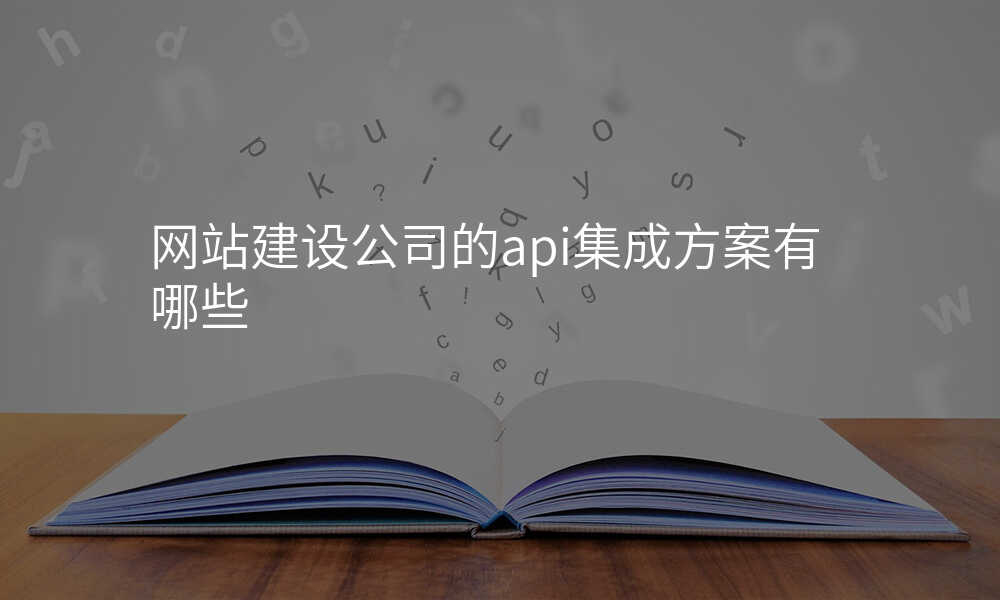 网站建设公司的api集成方案有哪些
