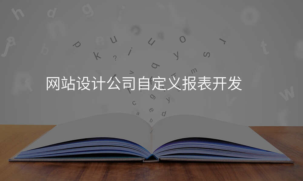 网站设计公司自定义报表开发
