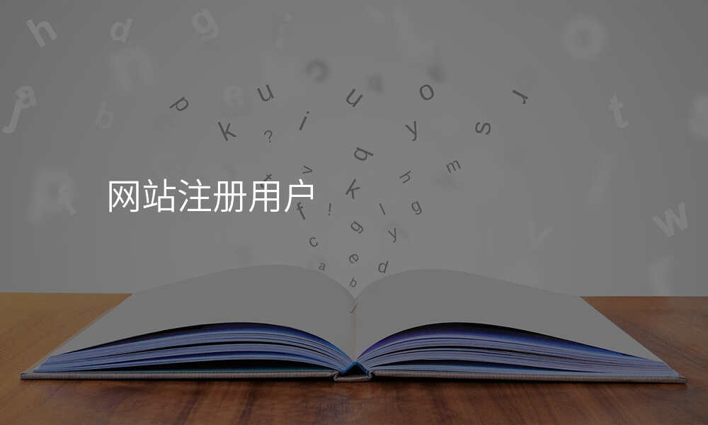 网站注册用户