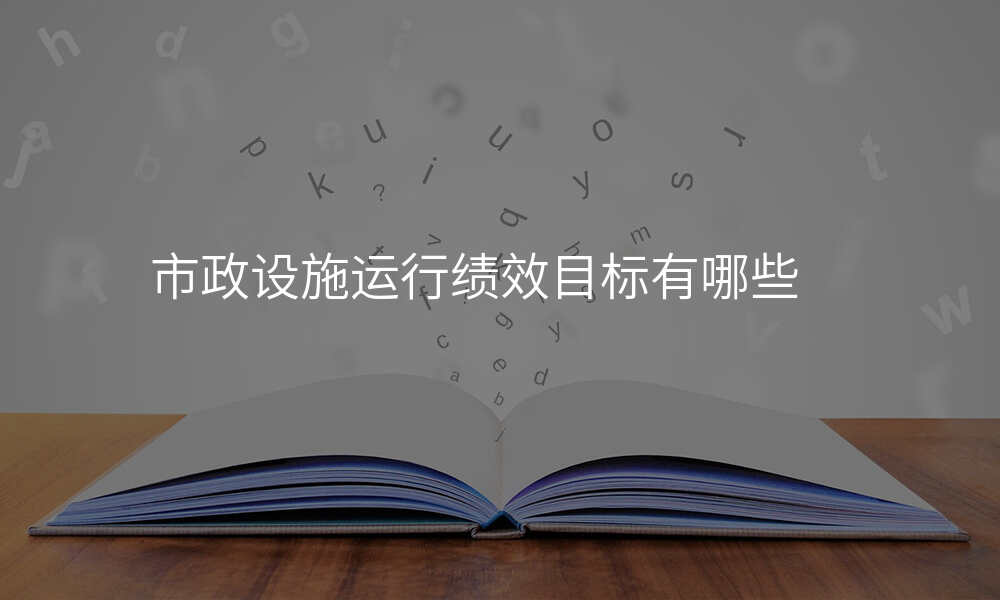 市政设施运行绩效目标有哪些