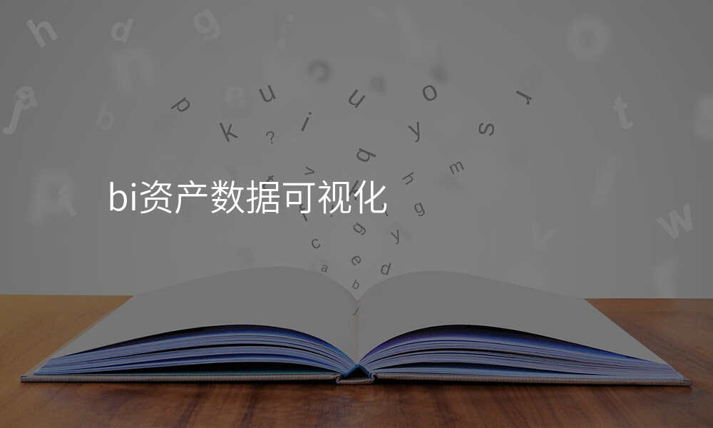 bi资产数据可视化