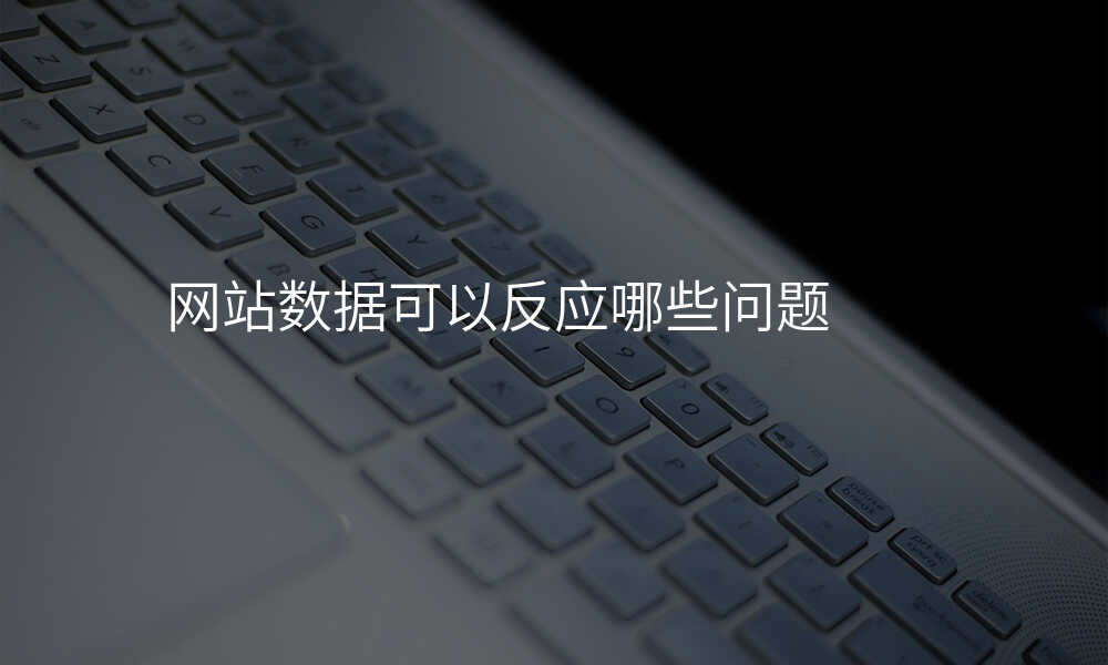 网站数据可以反应哪些问题