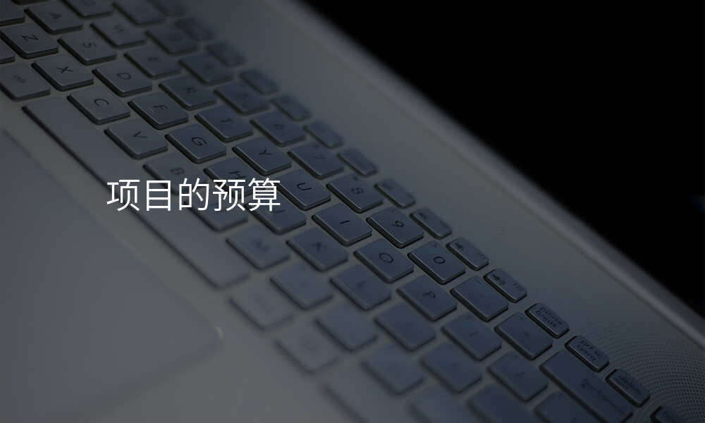 项目的预算
