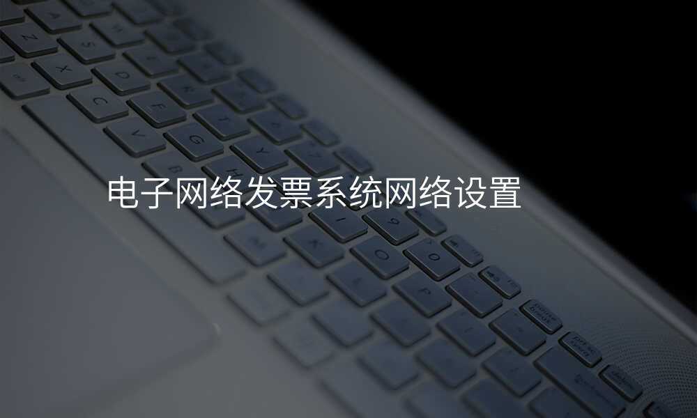 电子网络发票系统网络设置