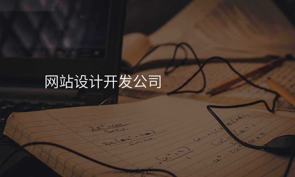 网站设计开发公司