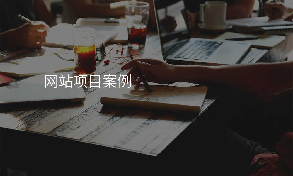 网站项目案例