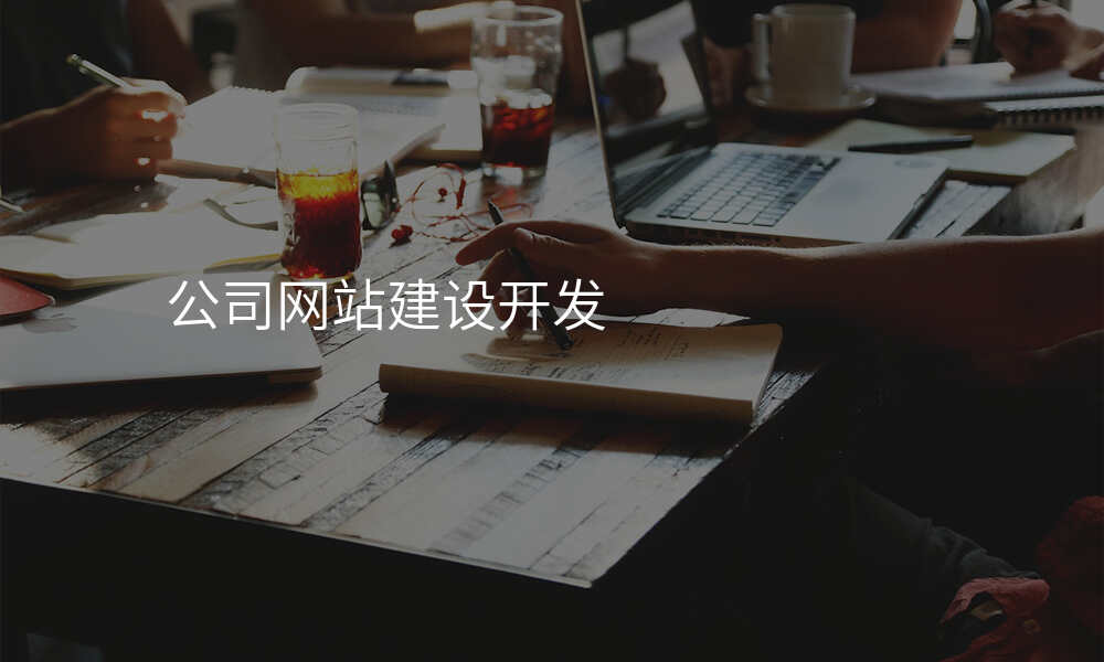 公司网站建设开发