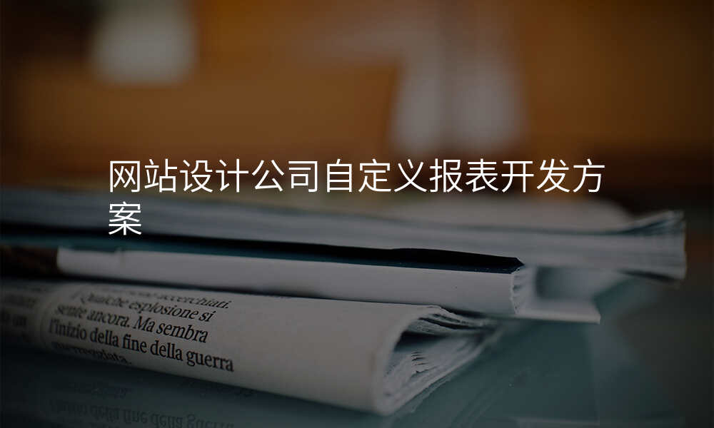 网站设计公司自定义报表开发方案