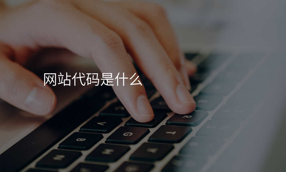 网站代码是什么
