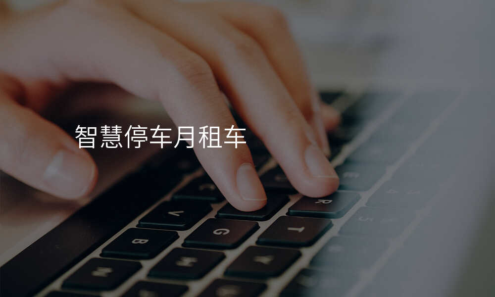 智慧停车月租车