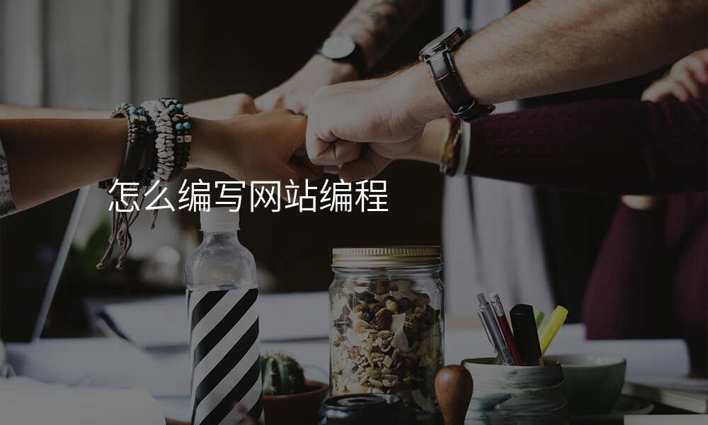 怎么编写网站编程