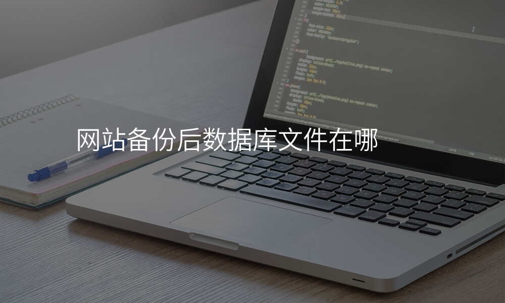 网站备份后数据库文件在哪